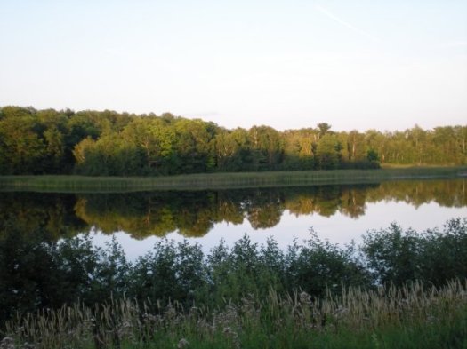 Summer Along the Bowstring River